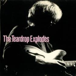 The Teardrop Explodes : You Disappear From View